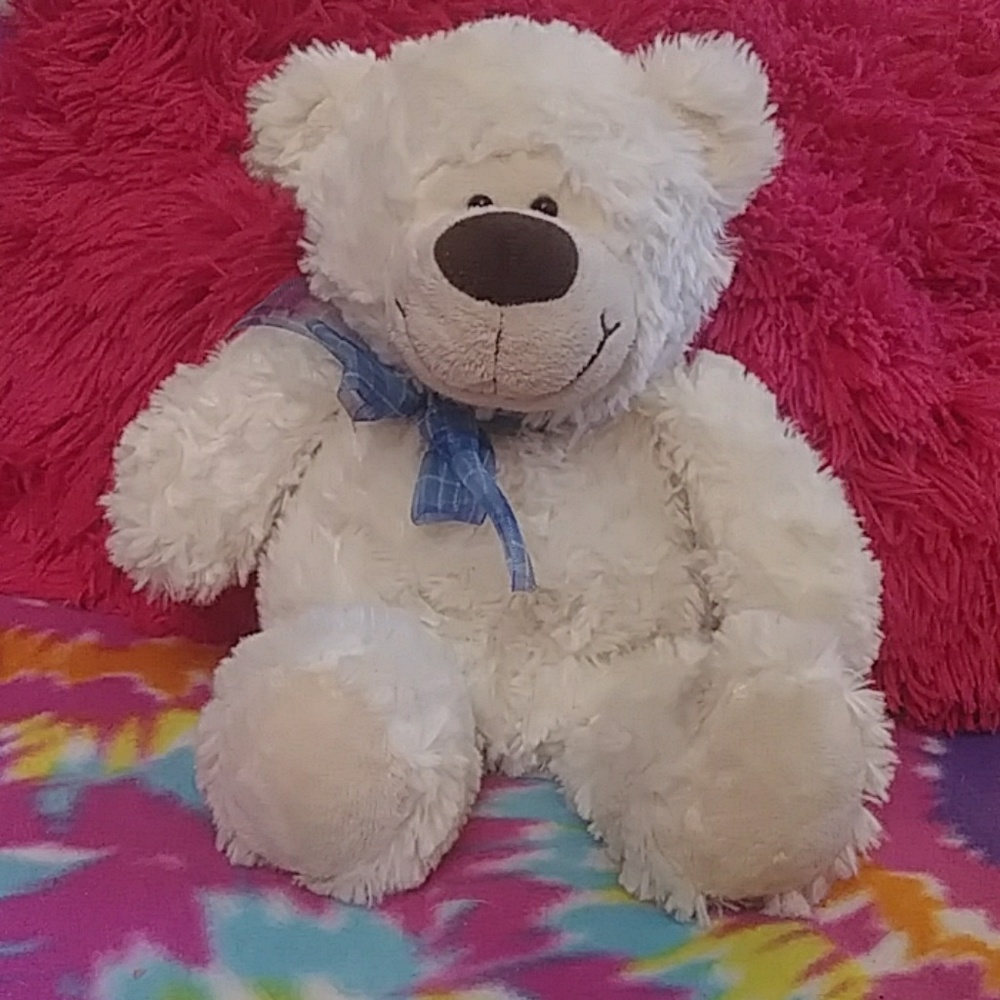 White Teddy Bear Plush Stuffed Animal toy Family Christian Store Prayers